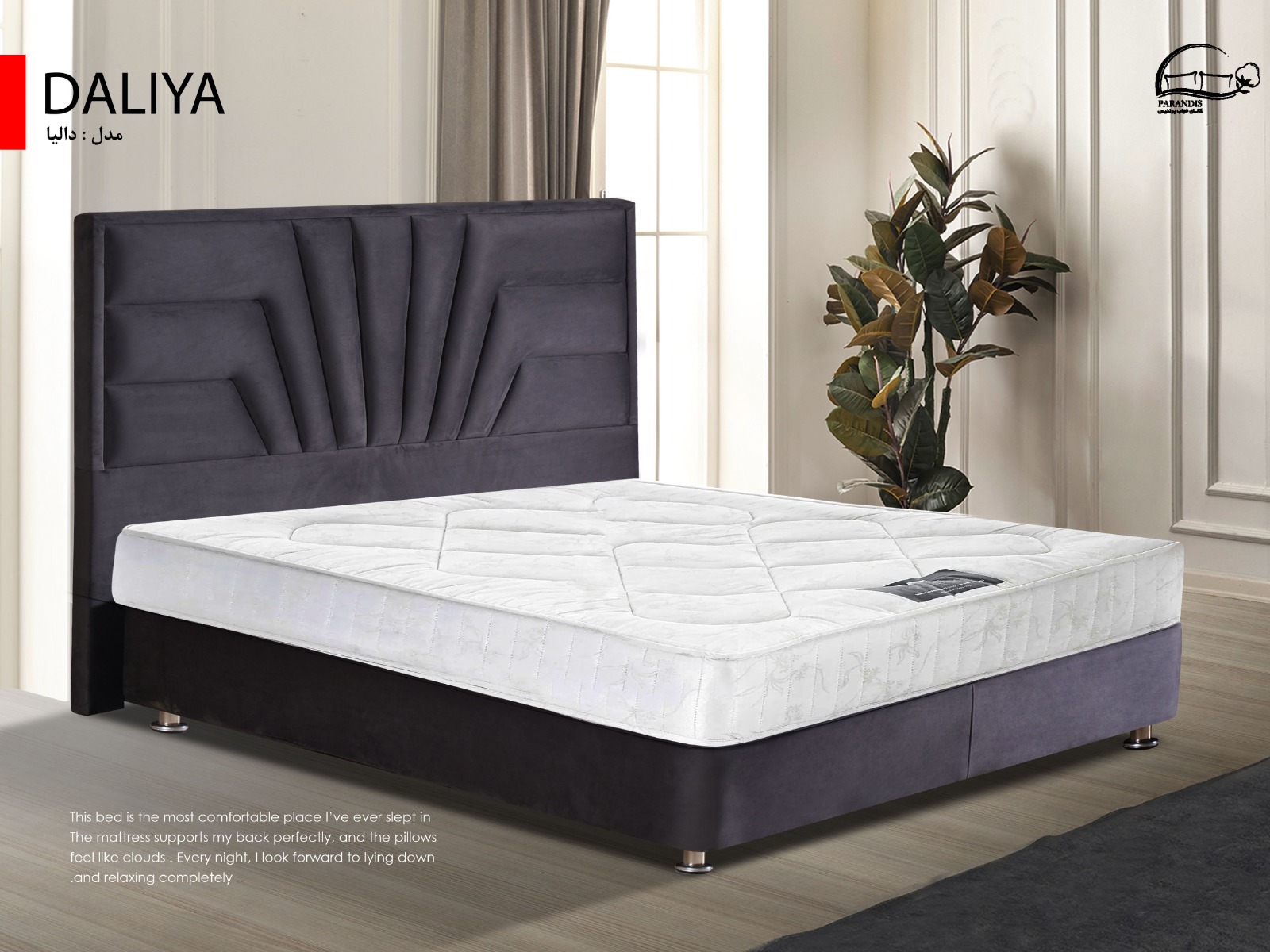 دالیا باکس دالیا - تصویر 1