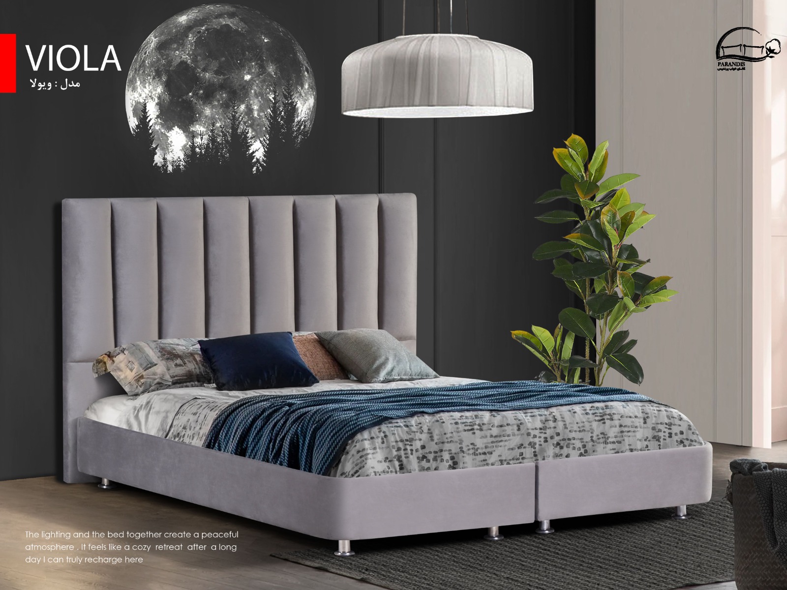 ویولا باکس ویولا - تصویر 1