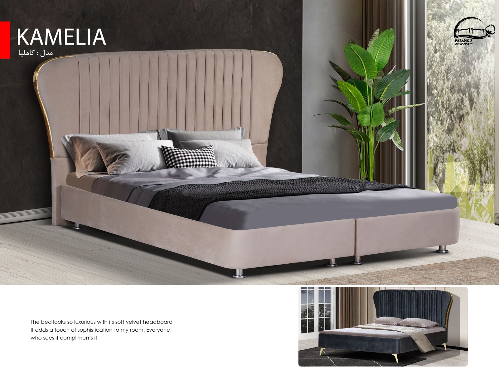 کاملیا باکس کاملیا - تصویر 1